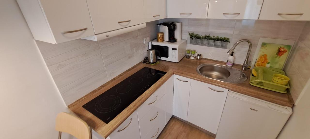 Apartament Kopernika 47 Torun Exterior photo